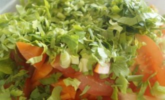 Салат из болгарского перца и помидоров